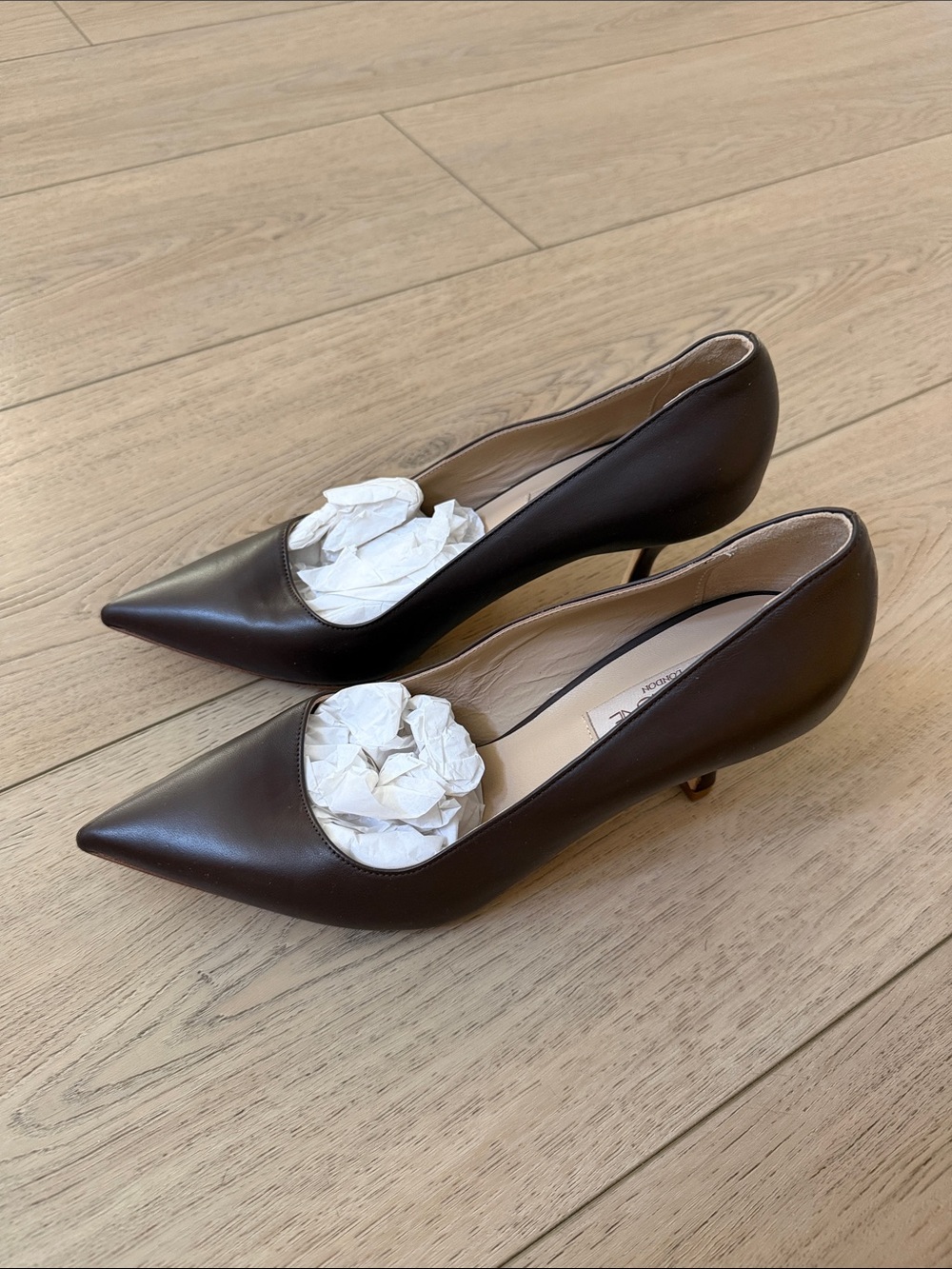 Sleek Pointed-Toe Women's Pumps in Dark Brown